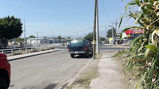 Servicio De Auto Baño